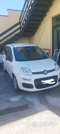 Panda 1.3 mj 95cv -easy- anno 2017- unipro -