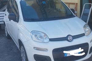 Panda 1.3 mj 95cv -easy- anno 2017- unipro -