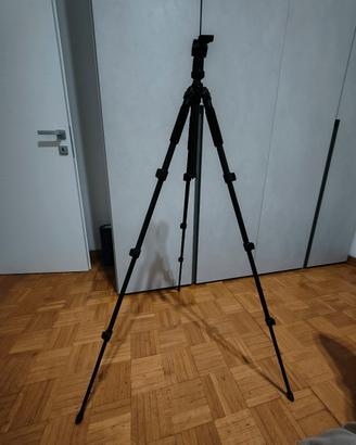 Treppiede 