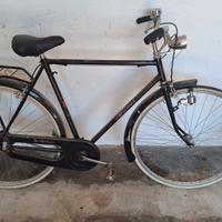 bicicletta uomo Rollmar