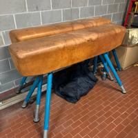 Cavallina ginnastica artistica