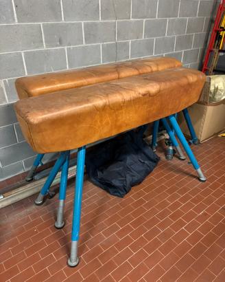 Cavallina ginnastica artistica