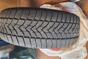 gomme invernali 