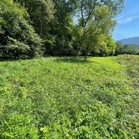 Rustico con terreno agricolo