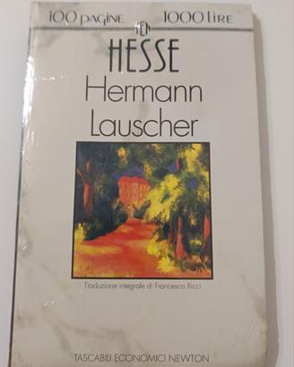 Libro Hermann Lauscher di Hesse
