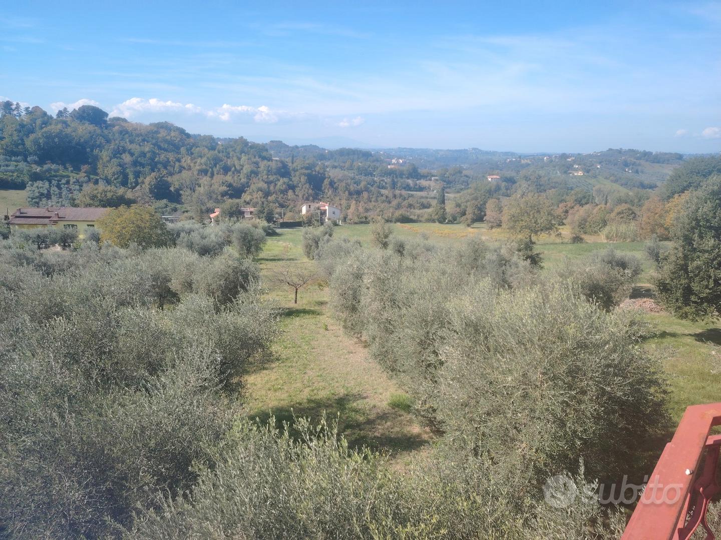 Villa con terreno e ulivi - Vista 2