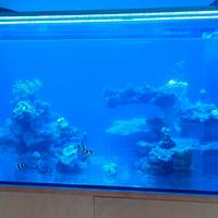 Acquario marino, vasca sump e tecnica