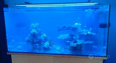 Acquario marino, vasca sump e tecnica