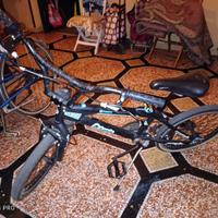 Bici Bmx