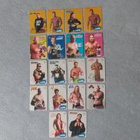Cards Wrestling Holo