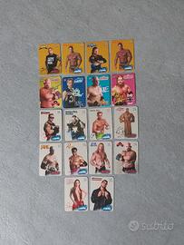 Cards Wrestling Holo