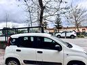 fiat-panda-1-3-mjt-95cv-4x4