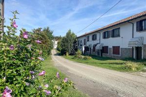 Rif.9338TA28491| agriturismo borgo priolo