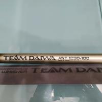 canna fissa Team Daiwa AWT 10 m