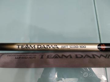 canna fissa Team Daiwa AWT 10 m