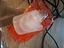 Immagine 3