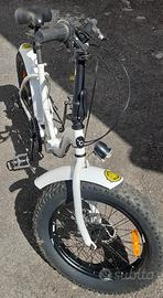 Bicicletta Bianca pieghevole Fat Bike 