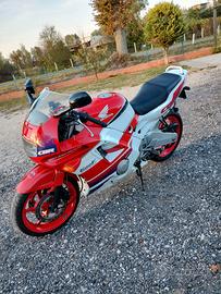 Honda CBR 600