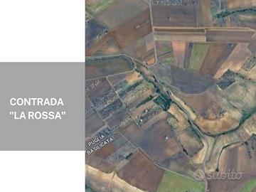 Terre a "la rossa" - ba003303