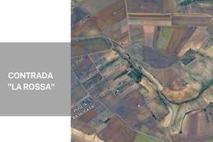 Terre a "la rossa" - ba003303