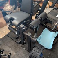 Leg Extension/Curl  Kingsgym