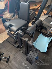 Leg Extension/Curl  Kingsgym