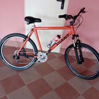 bicicletta Mountain bike nuova 