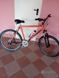 bicicletta Mountain bike nuova 