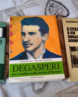 Lotto libri alcide de gasperi