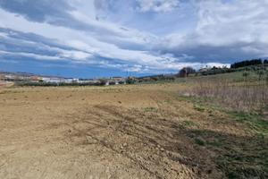 TERRENO ARTIGIANALE FRONTE STRADA