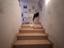 Immagine 19