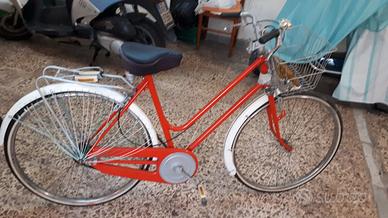 Bicicletta con cestino