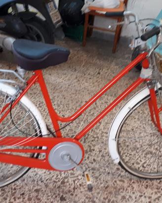 Bicicletta con cestino