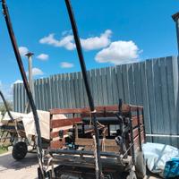 carrozza, cavallo, quattro ruote, murgese 