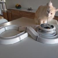 Pista Gioco Per Gatti + Gioco Molla