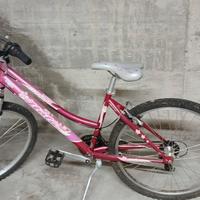 mtb donna