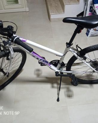 bici mountain bike
