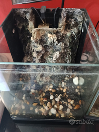 Acquari completi di tutto