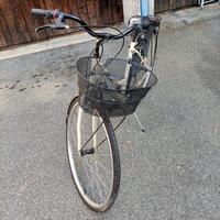 Bicicletta da donna