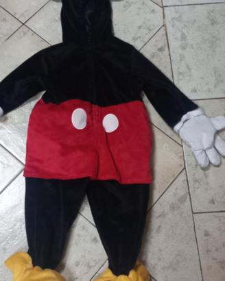Costume carnevale Disney