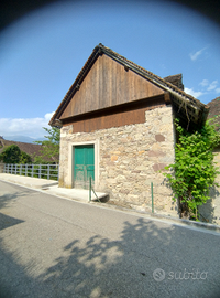 Vedesi rustico e terreno a Cella, Ovaro (UD)