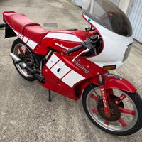 Altro Altro modello - 1984