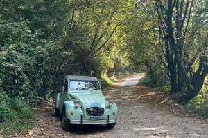 Citroen 2CV 6 Special
