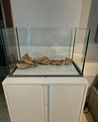 Acquario 60L