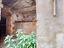 Immagine 30