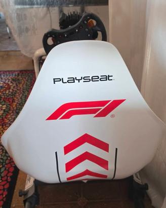 Playseat 
