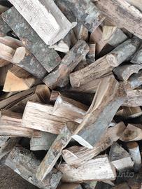 Legna da ardere secca 