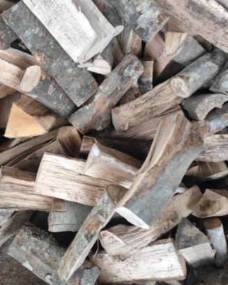 Legna da ardere secca 