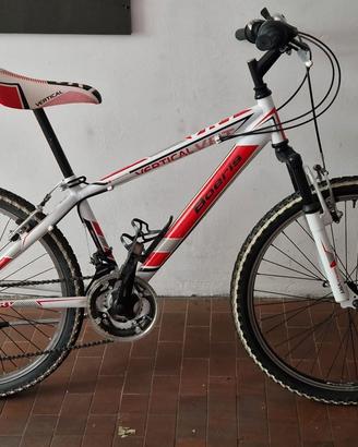 Bicicletta Mountain Bike Boeris Vertical VRT 