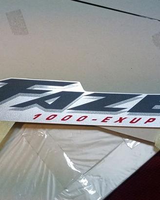 Yamaha FZS1000 fazer coppia adesivi